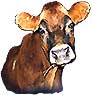 Flossy the Cow