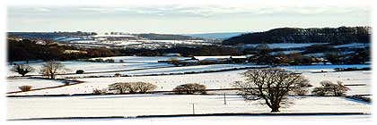 Golden Valley in winter